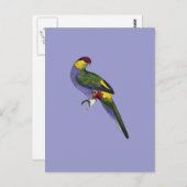 Papageienvogel Postkarte (Vorne/Hinten)