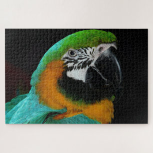 Papageienvogel Puzzle