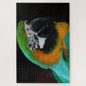 Papageienvogel Puzzle (Vertikal)
