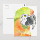 Papageienwasserfarbe Postkarte (Vorne/Hinten)
