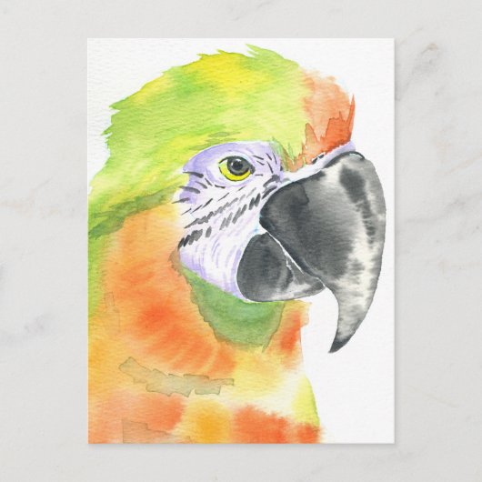 Papageienwasserfarbe Postkarte (Vorderseite)