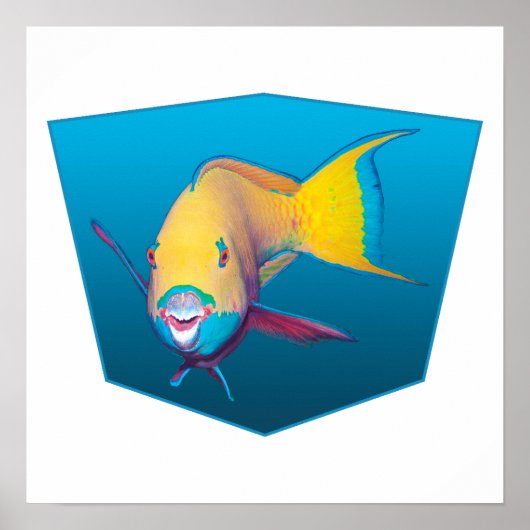 Papageifisch - Design Farbverlauf blauer Hintergru Poster (Vorne)