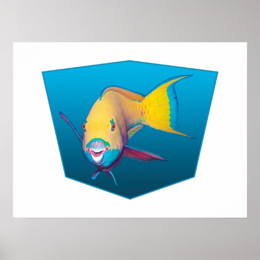 Papageifisch - Design Farbverlauf blauer Hintergru Poster (Vorne)