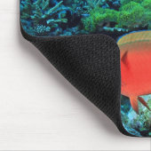 Papageifisch Scarus Mousepad (Ecke)