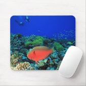 Papageifisch Scarus Mousepad (Mit Mouse)