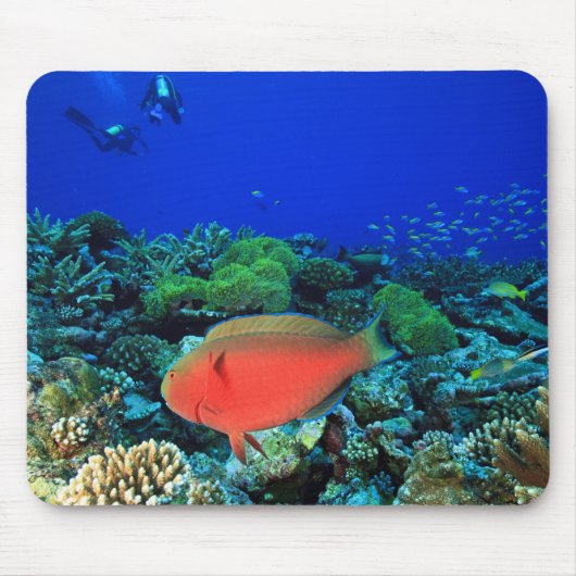 Papageifisch Scarus Mousepad (Vorne)