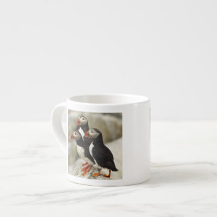 Papageitaucher auf Machias Seal Island Espressotasse