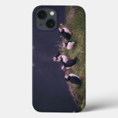 Papageitaucher Case-Mate iPhone Hülle (Rückseite)