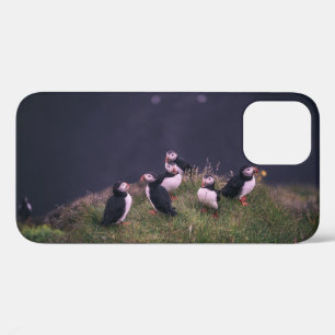 Papageitaucher Case-Mate iPhone Hülle