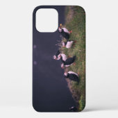 Papageitaucher Case-Mate iPhone Hülle (Rückseite)
