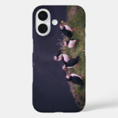 Papageitaucher Case-Mate iPhone Hülle (Rückseite)
