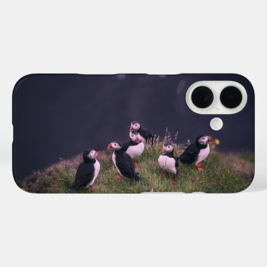 Papageitaucher Case-Mate iPhone Hülle (Rückseite (Horizontal))