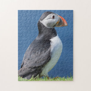 Papageitaucher (Fratercula Arctica) auf Klippe Puzzle