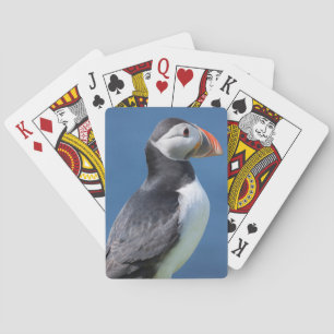 Papageitaucher (Fratercula Arctica) auf Klippe Spielkarten
