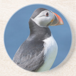 Papageitaucher (Fratercula Arctica) auf Klippe Untersetzer