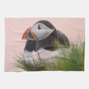 Papageitaucher (Fratercula arctica) Geschirrtuch