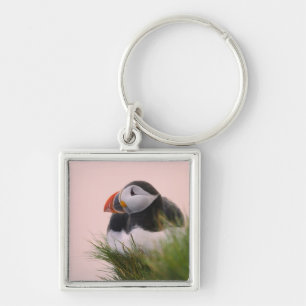 Papageitaucher (Fratercula arctica) Schlüsselanhänger