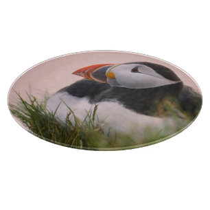 Papageitaucher (Fratercula arctica) Schneidebrett
