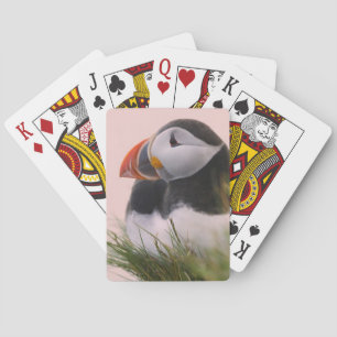 Papageitaucher (Fratercula arctica) Spielkarten