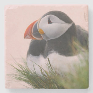 Papageitaucher (Fratercula arctica) Steinuntersetzer
