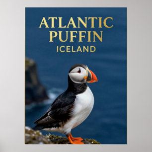🐧 Papageitaucher Island Küsten Vogel Poster