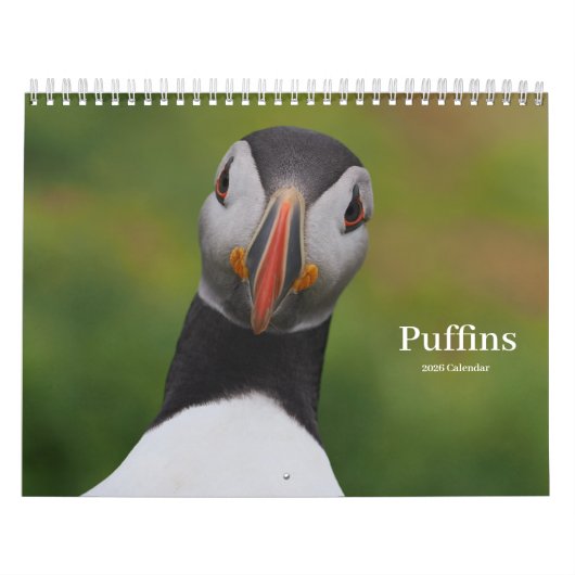 Papageitaucher-Kalender Kalender (Titelbild)