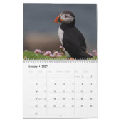 Papageitaucher-Kalender Kalender (Jan 2027)