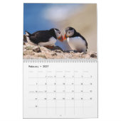 Papageitaucher-Kalender Kalender (Feb 2027)