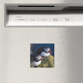 Papageitaucher Magnet (In Situ (Geschirrspüler))
