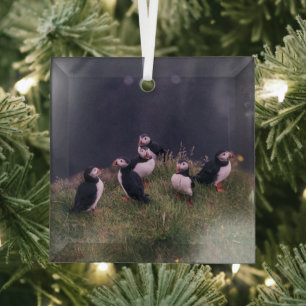 Papageitaucher Ornament Aus Glas