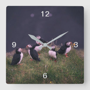 Papageitaucher Quadratische Wanduhr