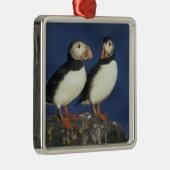 Papageitaucher Silbernes Ornament (Rechts)
