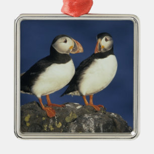 Papageitaucher Silbernes Ornament