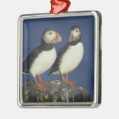 Papageitaucher Silbernes Ornament (Links)