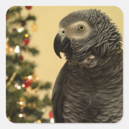 Papageiweihnachtskleber Quadratischer Aufkleber