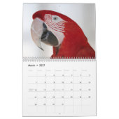 Papagekalender 2020 kalender (Mär 2027)