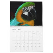 Papagekalender 2020 kalender (Jan 2027)