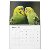 Papagekalender 2020 kalender (Feb 2027)