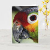 Papagekarte Karte (Gelbe Blume)