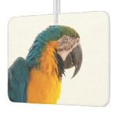 PapageNotes Autolufterfrischer (Links)