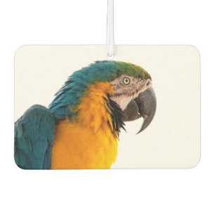 PapageNotes Autolufterfrischer