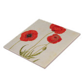 Papavar rhoeas, c.1568 fliese (Seite)