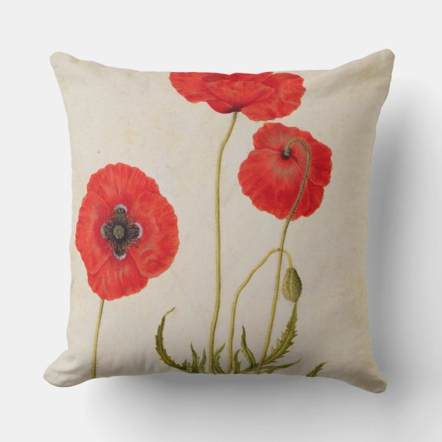 Papavar rhoeas, c.1568 kissen (Vorderseite)