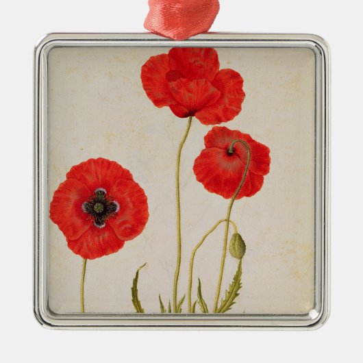 Papavar rhoeas, c.1568 silbernes ornament (Vorne)