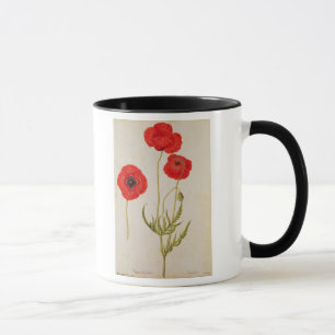 Papavar rhoeas, c.1568 tasse