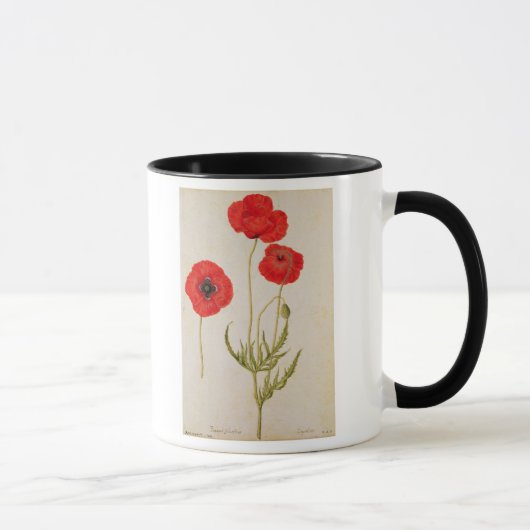 Papavar rhoeas, c.1568 tasse (Rechts)