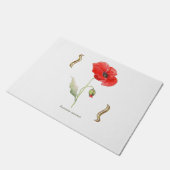 Papaver rhoeas  fußmatte (Schrägansicht)