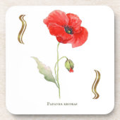 Papaver rhoeas  getränkeuntersetzer (Vorderseite)