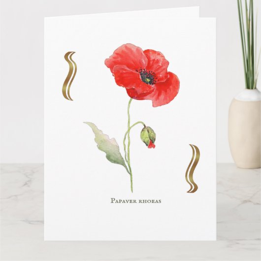 Papaver rhoeas  karte (Vorderseite)