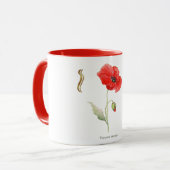 Papaver rhoeas  tasse (Vorderseite Links)